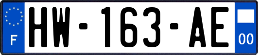 HW-163-AE