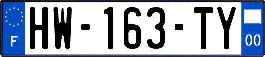 HW-163-TY