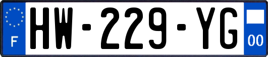 HW-229-YG