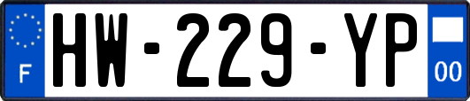 HW-229-YP