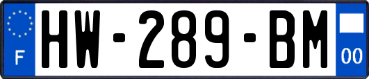 HW-289-BM