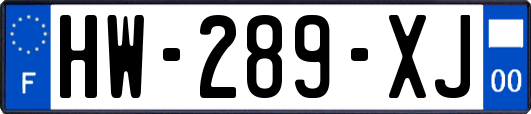 HW-289-XJ