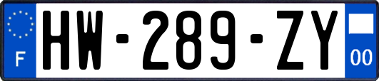 HW-289-ZY