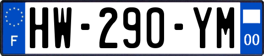 HW-290-YM