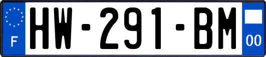 HW-291-BM