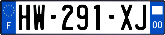 HW-291-XJ