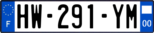 HW-291-YM