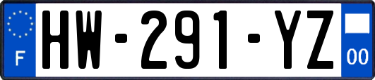 HW-291-YZ