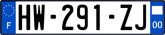 HW-291-ZJ