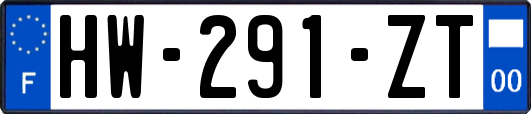 HW-291-ZT