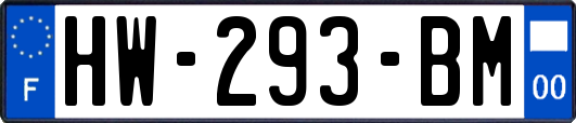 HW-293-BM