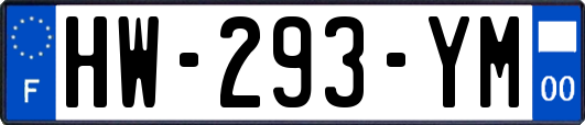 HW-293-YM