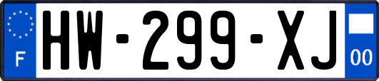 HW-299-XJ