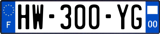 HW-300-YG