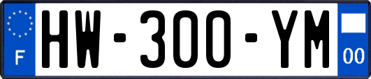 HW-300-YM