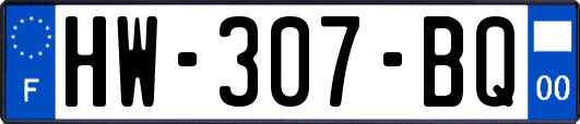 HW-307-BQ