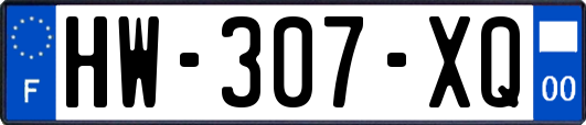 HW-307-XQ