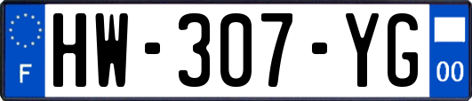 HW-307-YG