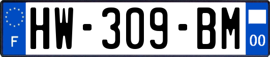 HW-309-BM