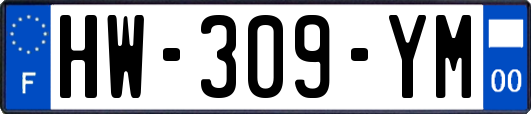 HW-309-YM