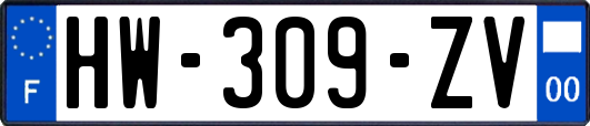 HW-309-ZV