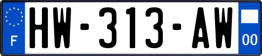 HW-313-AW