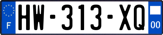 HW-313-XQ