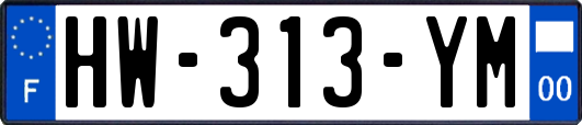 HW-313-YM