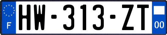 HW-313-ZT