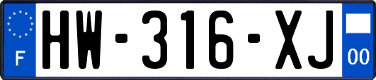 HW-316-XJ