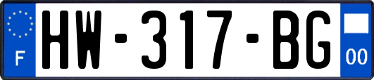 HW-317-BG