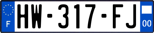 HW-317-FJ
