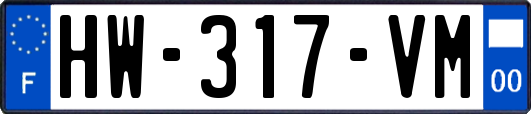 HW-317-VM