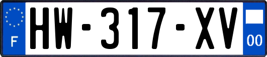 HW-317-XV
