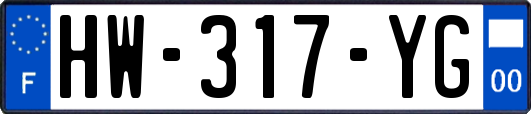 HW-317-YG