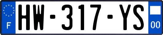 HW-317-YS