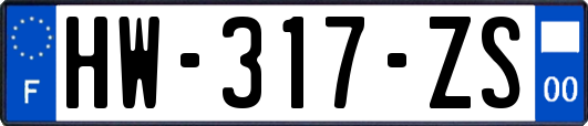 HW-317-ZS