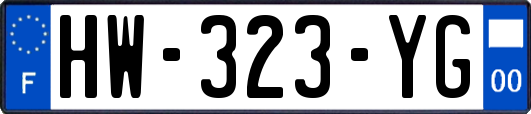 HW-323-YG