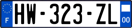 HW-323-ZL