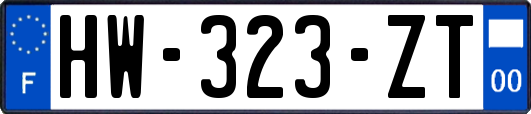 HW-323-ZT