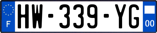 HW-339-YG