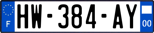 HW-384-AY