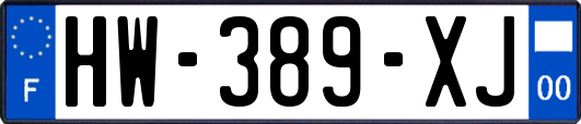 HW-389-XJ