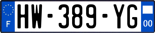 HW-389-YG