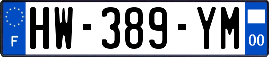 HW-389-YM