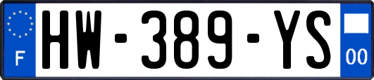 HW-389-YS