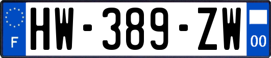 HW-389-ZW