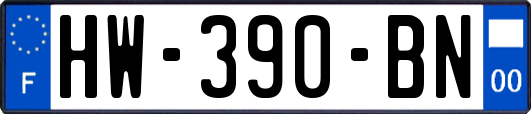 HW-390-BN