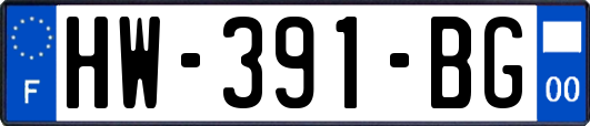 HW-391-BG