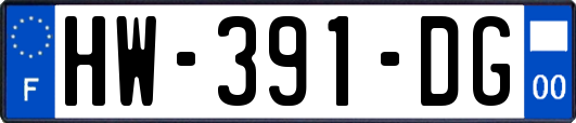 HW-391-DG